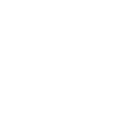 Intellectual Property & Brand Protection